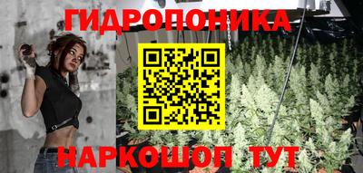 амф Рыбинск